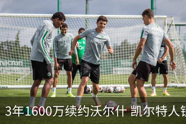 3年1600万续约沃尔什 凯尔特人锁死22岁防守悍将 金额仅占工资帽3%